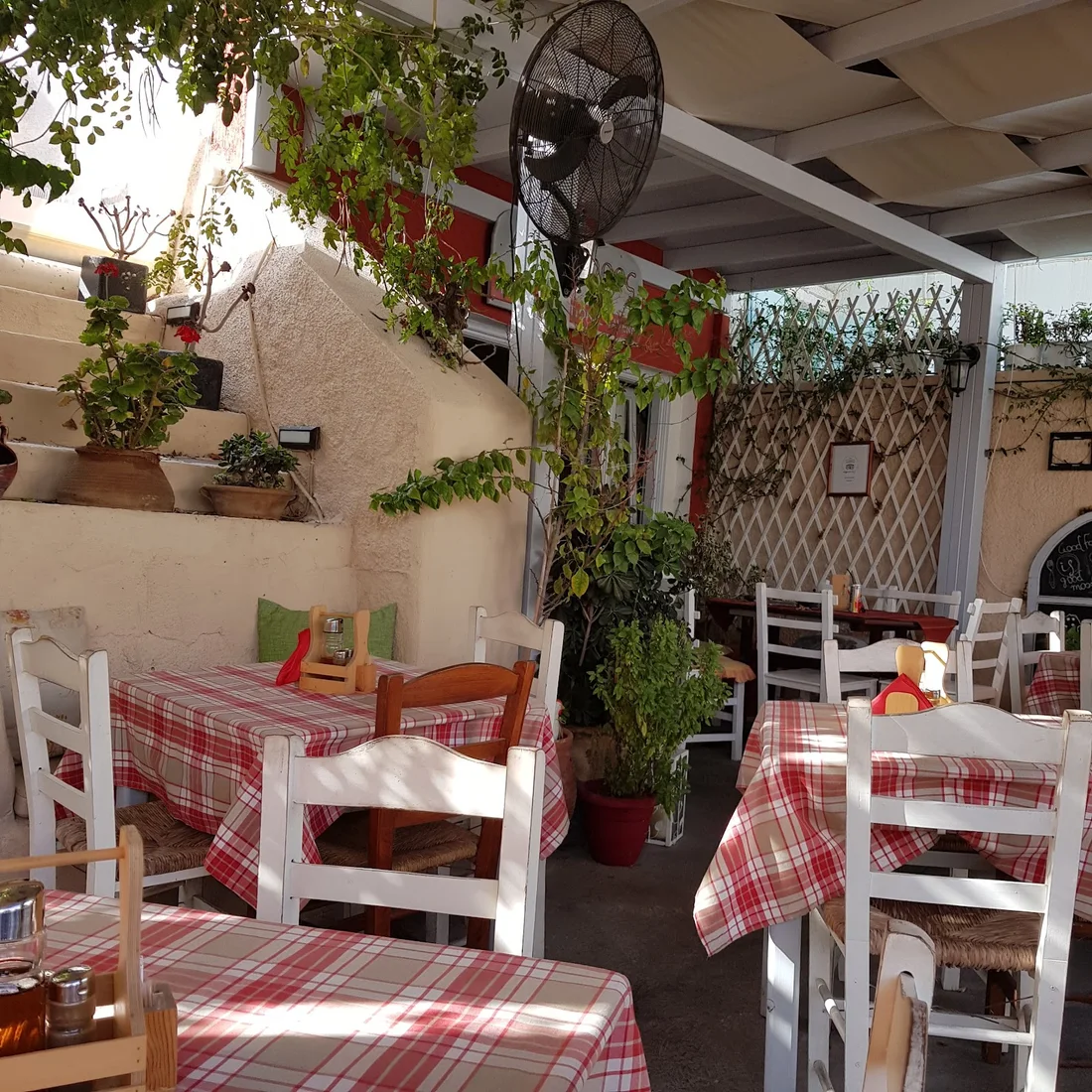 The shaded courtyard of Avlogyros taverna with red-and-white checked tablecloths and potted plants in Megalochori village, Santorini