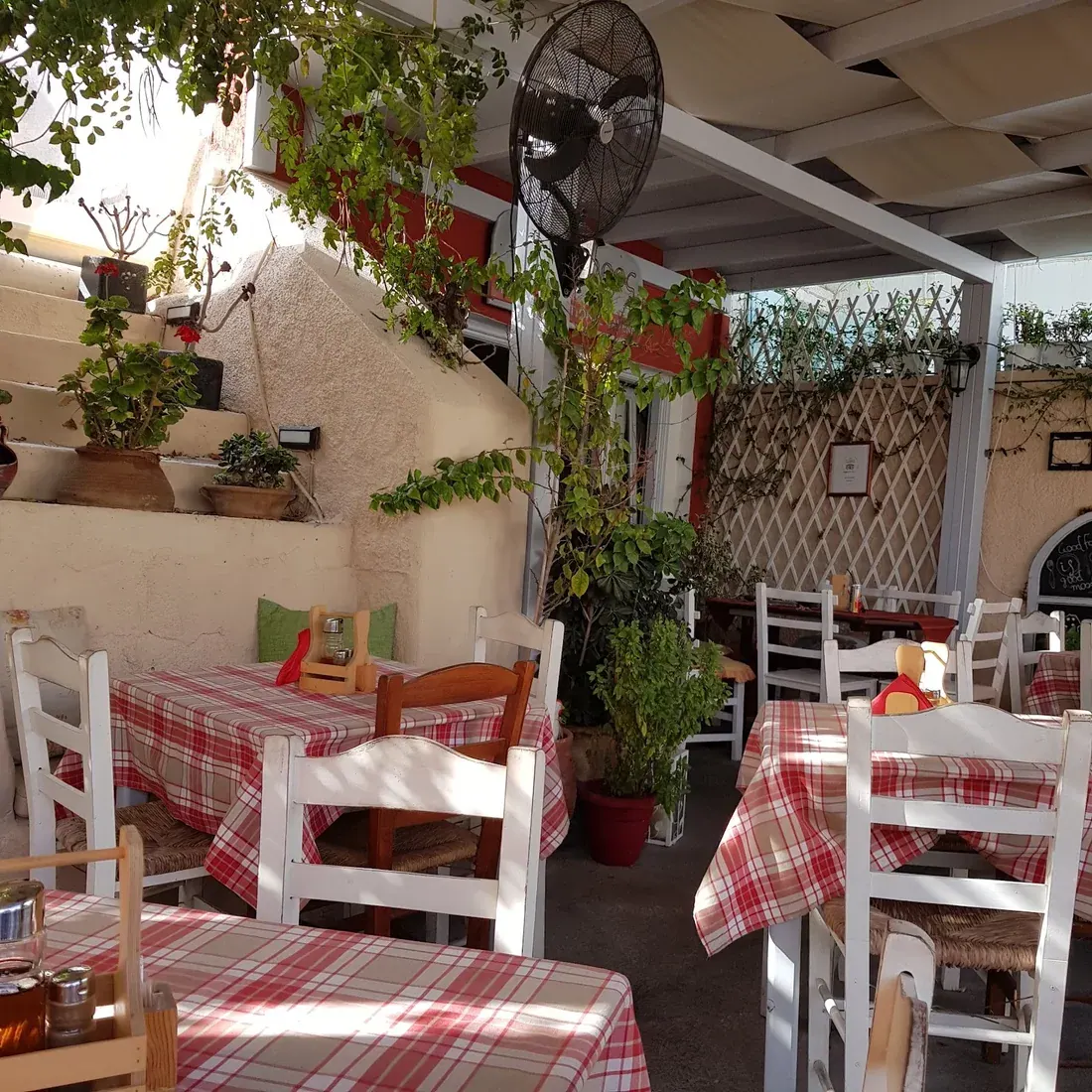 The shaded courtyard of Avlogyros taverna with red-and-white checked tablecloths and potted plants in Megalochori village, Santorini